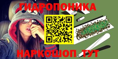 гидропоника Кимры