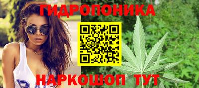 гидропоника Кимры