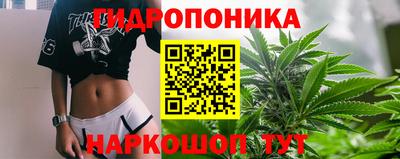 гидропоника Кимры